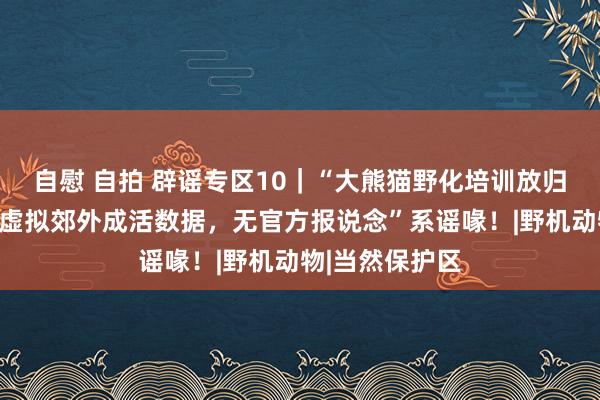 自慰 自拍 辟谣专区10｜“大熊猫野化培训放归技俩不科学，虚拟郊外成活数据，无官方报说念”系谣喙！|野机动物|当然保护区